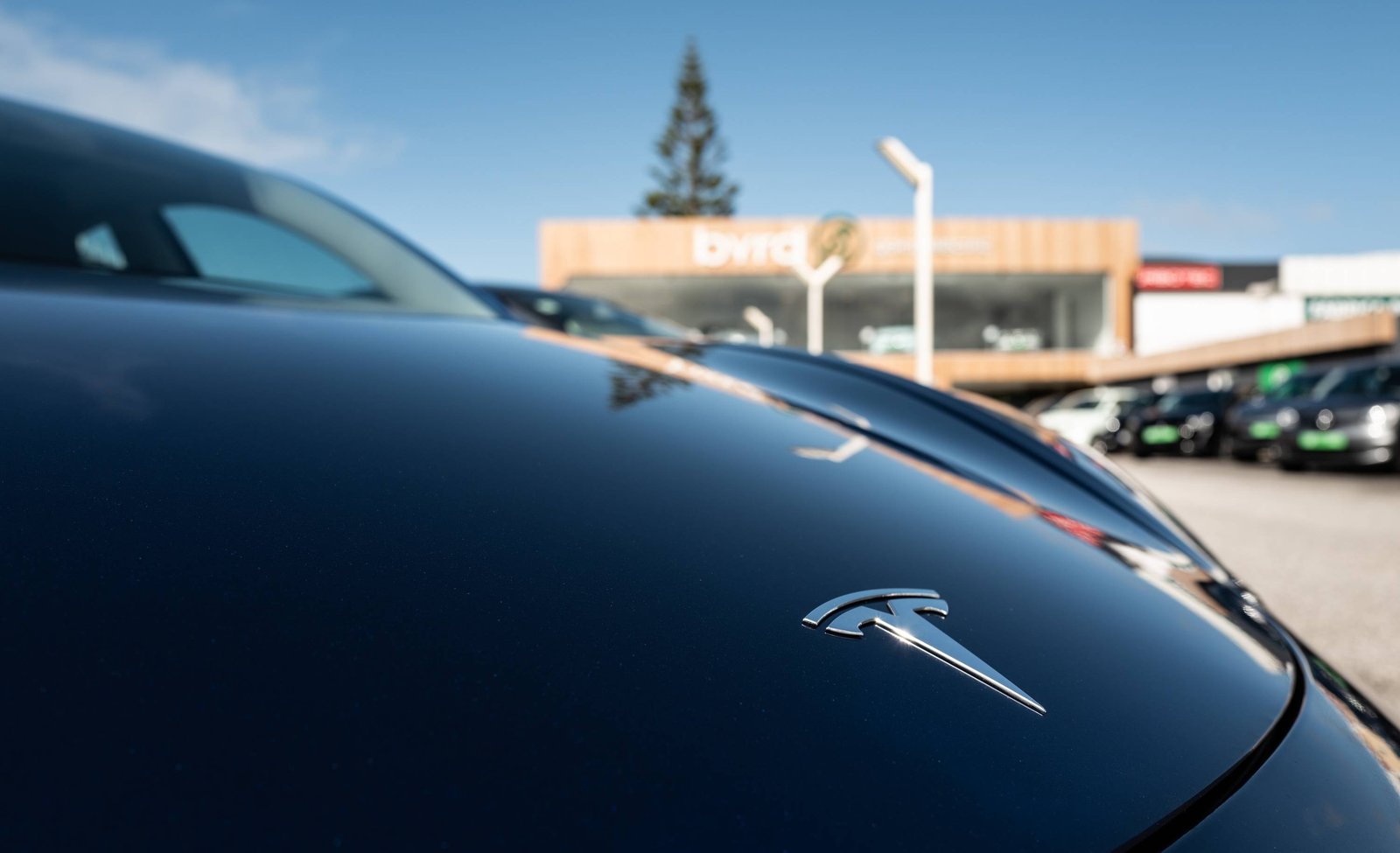 Un badge Tesla sur un capot, face au ciel.
